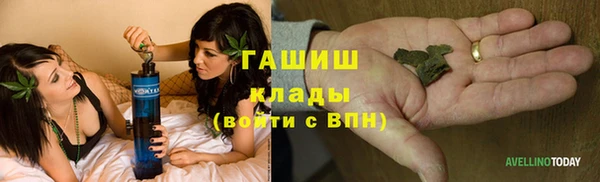 прущие грибы Абдулино