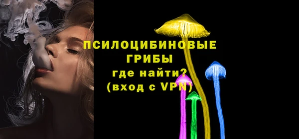 прущие грибы Абдулино