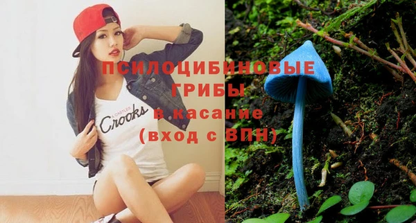 прущая мука Абаза