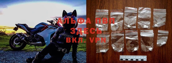 прущие грибы Абдулино